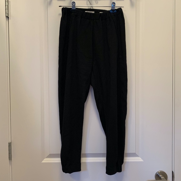 Aritzia Pants - Aritzia Babaton Dexter Pant